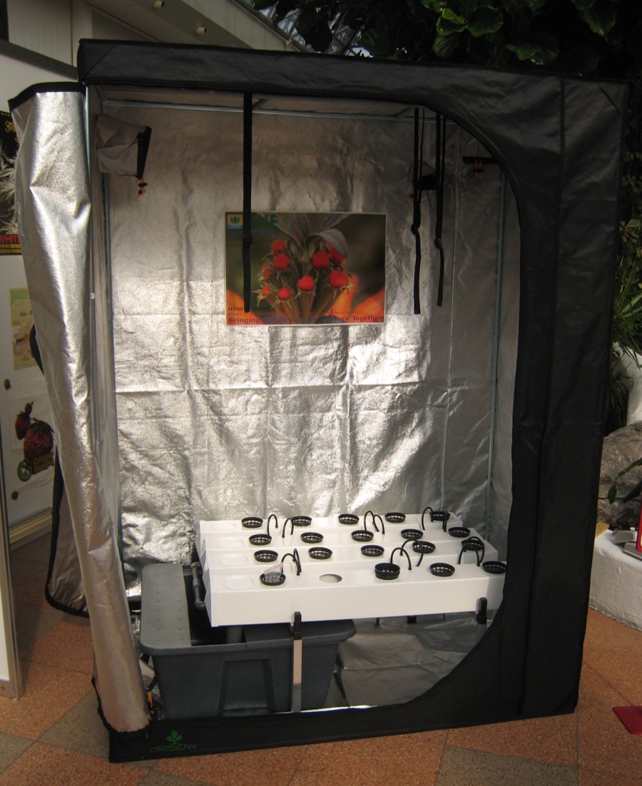 An assembled indoor grow tent with a hydroponic tray and reflective interior