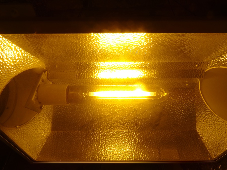 A glowing HPS (high pressure sodium) grow light bulb in its reflector hood
